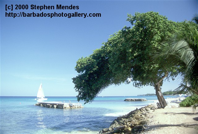 Barbados Photo Gallery Beaches Of Barbados