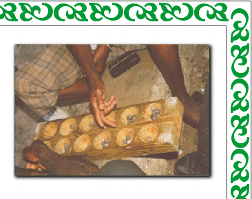 warribak2.gif (58212 bytes)